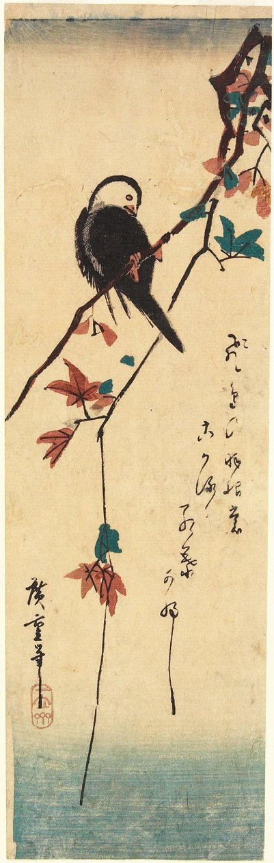 Valkopäinen lintu vaahteran oksalla tekijältä Utagawa Hiroshige