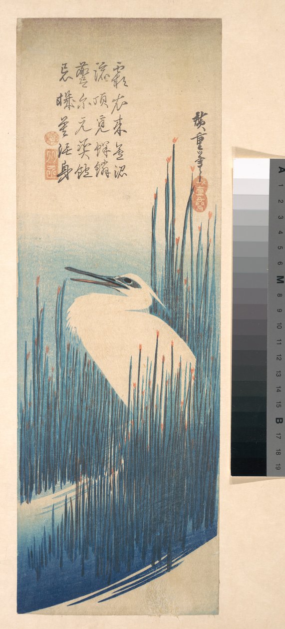 Weißer Reiher zwischen Schilf tekijältä Utagawa Hiroshige