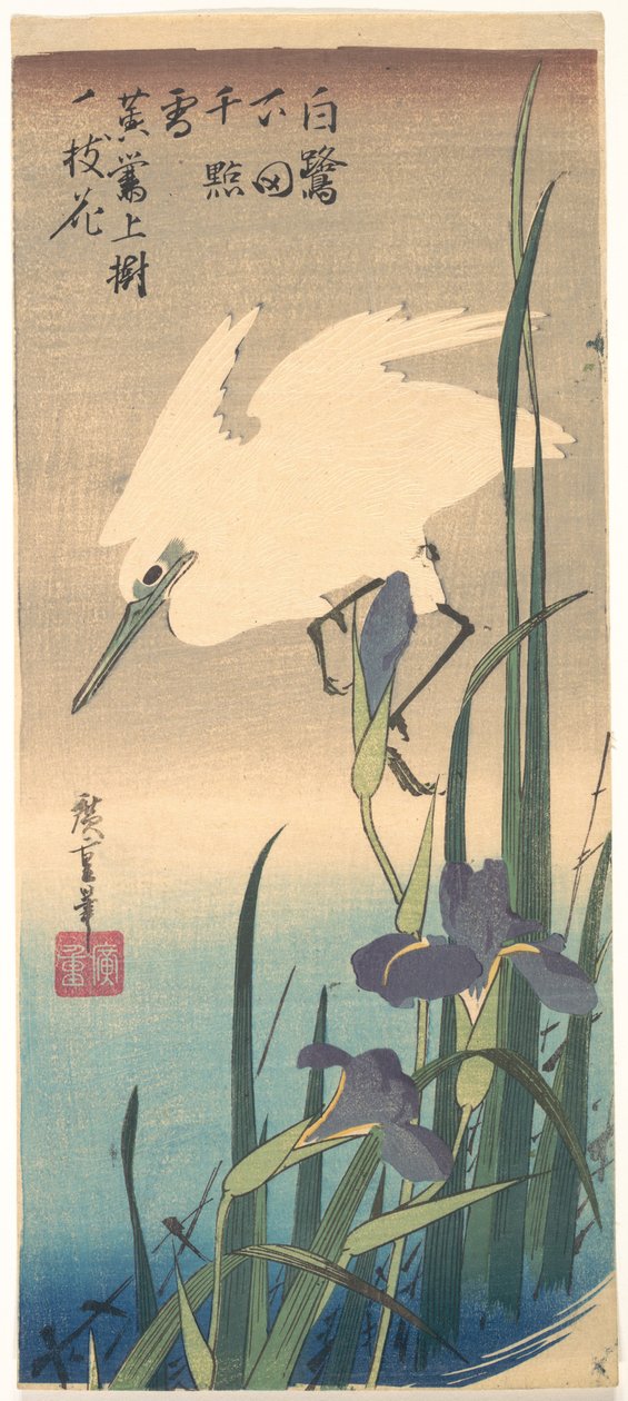 Valkoharakka ja iiris tekijältä Utagawa Hiroshige