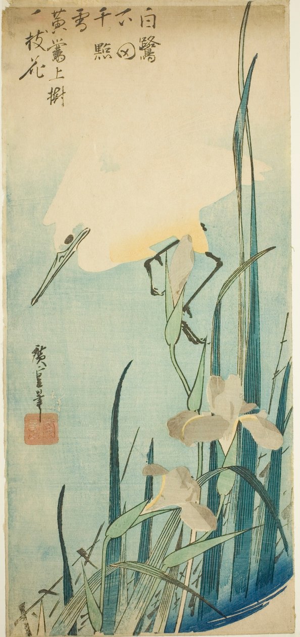 Valkohaikara ja iiris tekijältä Utagawa Hiroshige