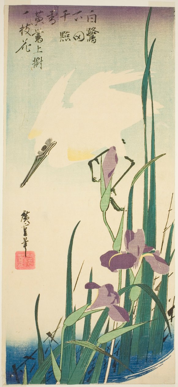 Valkohaikara ja iiris tekijältä Utagawa Hiroshige