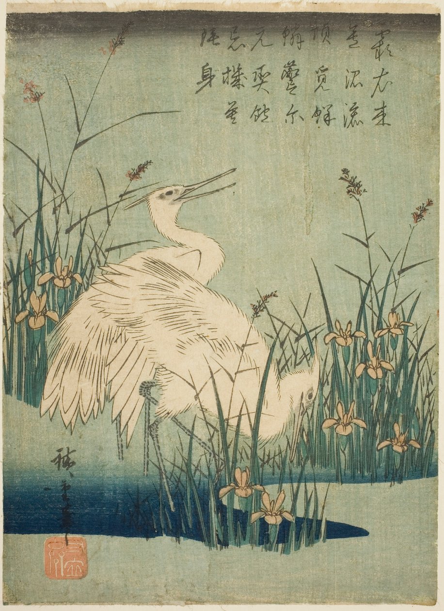Valkoiset haikarat ja iirikset tekijältä Utagawa Hiroshige