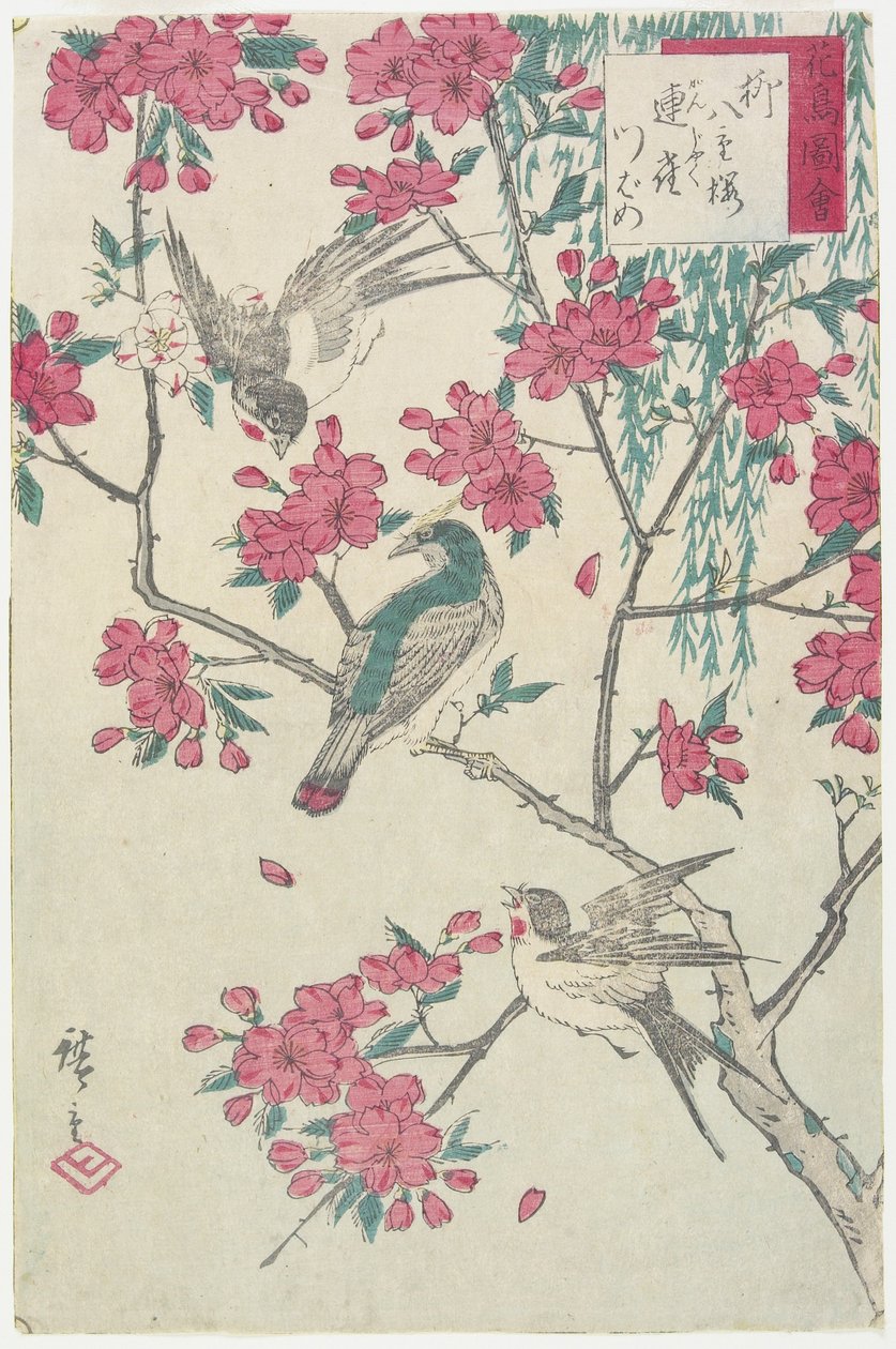 Paju, kirsikankukat, varpuset ja pääskynen, 1800-luvun alku tekijältä Utagawa Hiroshige