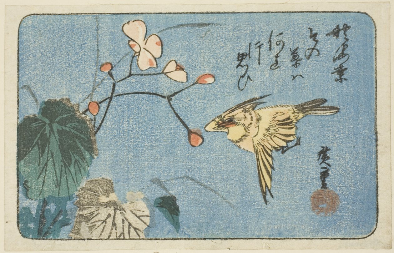 Keltainen lintu ja begonia tekijältä Utagawa Hiroshige