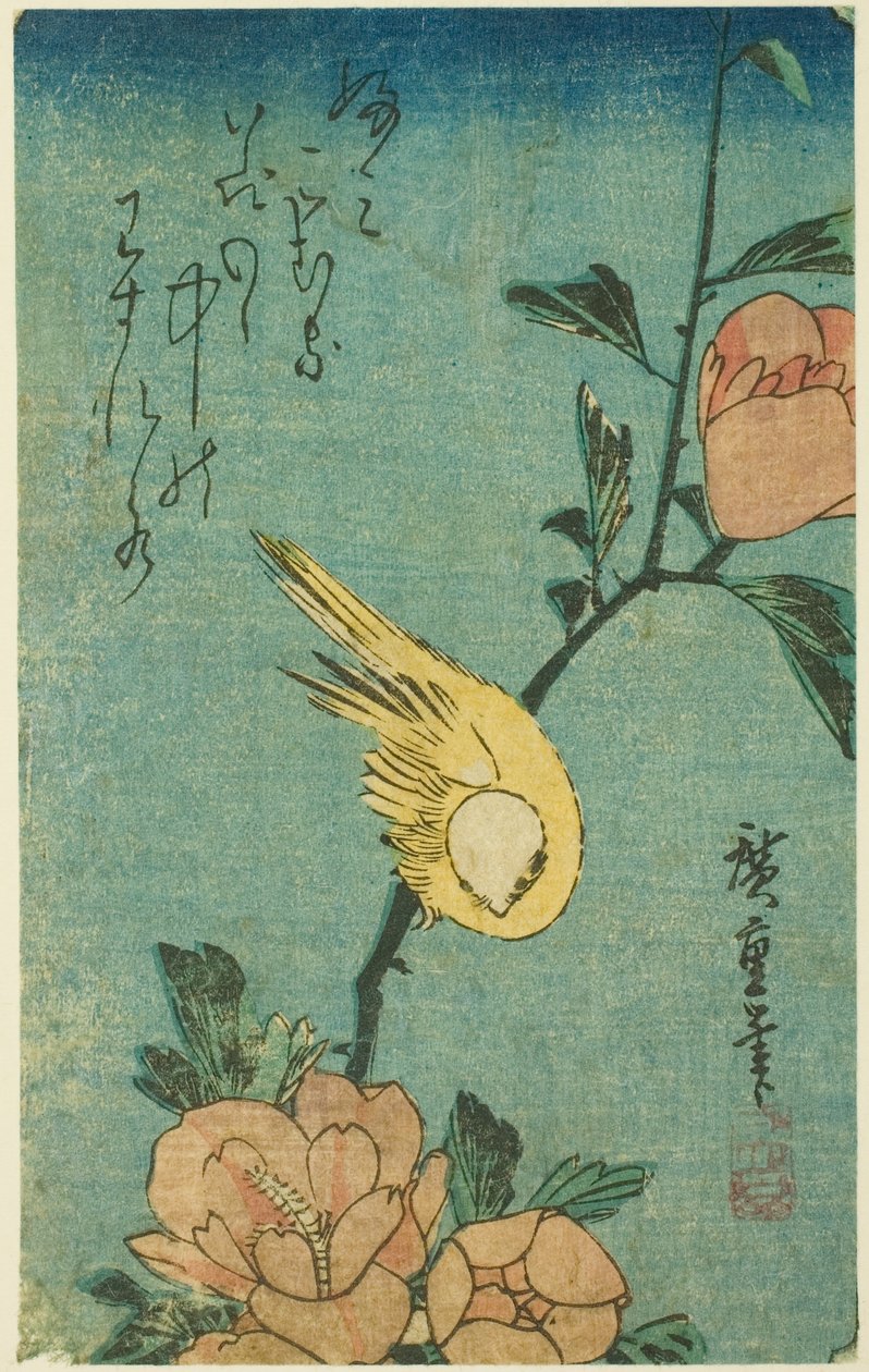 Keltainen lintu ja hibiscus tekijältä Utagawa Hiroshige