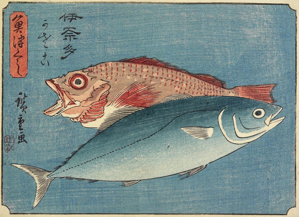 Keltapyrstö ja kalliokala, 1830-1844 tekijältä Utagawa Hiroshige