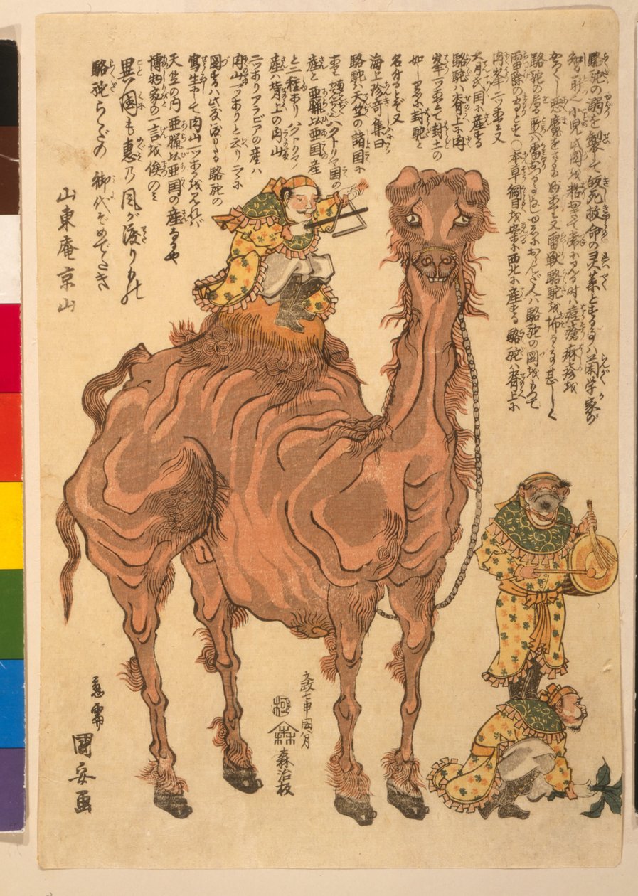 Kameli, pubi. 1824 (käsinvärinen puupiirros) tekijältä Utagawa Kuniyasu
