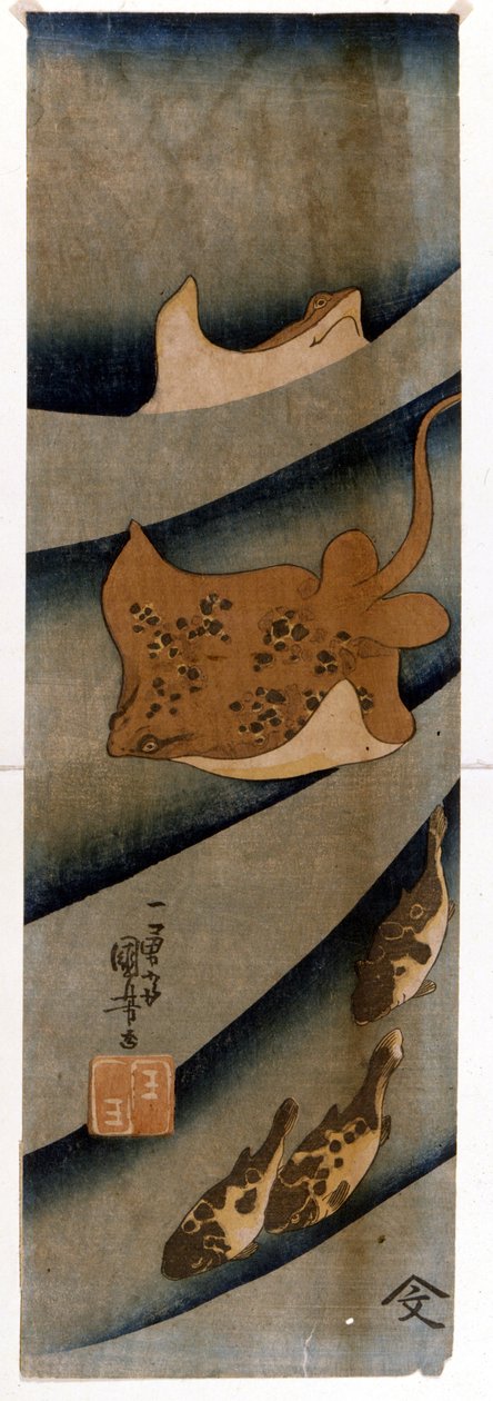 Utagawa KUNIYOSHIn (1797-1861) vedoksia, jotka kuvaavat kaloja. tekijältä Utagawa Kuniyoshi