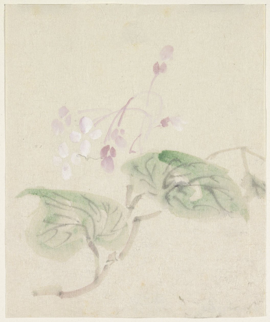 Roze-wisteria tekijältä Utagawa Kuniyoshi