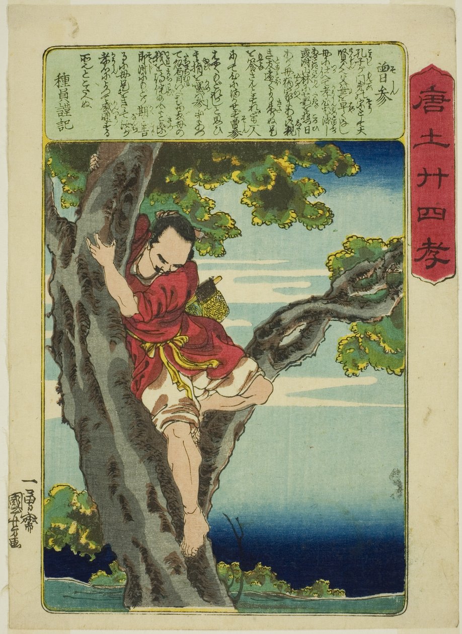 Zeng Shen (So Shin), sarjasta "Twenty-4 Paragons of Filial Piety in China (Morokoshi nijushiko)" tekijältä Utagawa Kuniyoshi