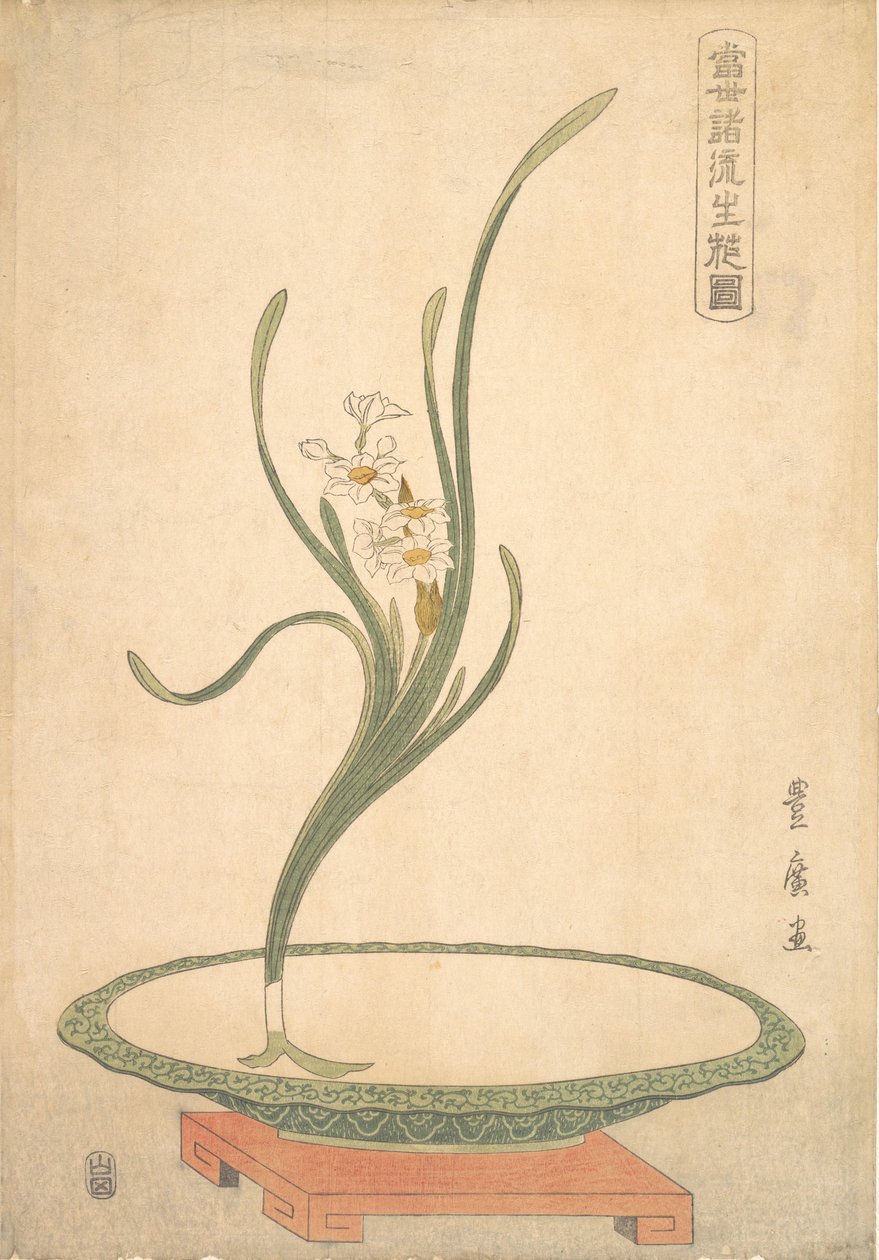 Suisen Narcissuksen kukka-asetelma litteässä vihreässä astiassa. tekijältä Utagawa Toyohiro