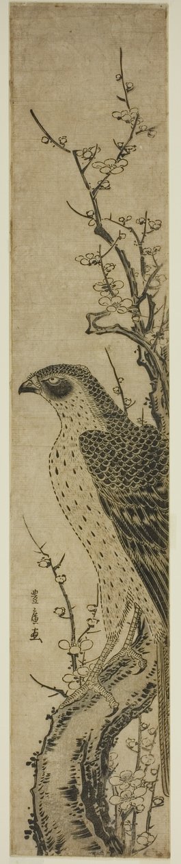 Haukka kirsikkapuussa tekijältä Utagawa Toyohiro