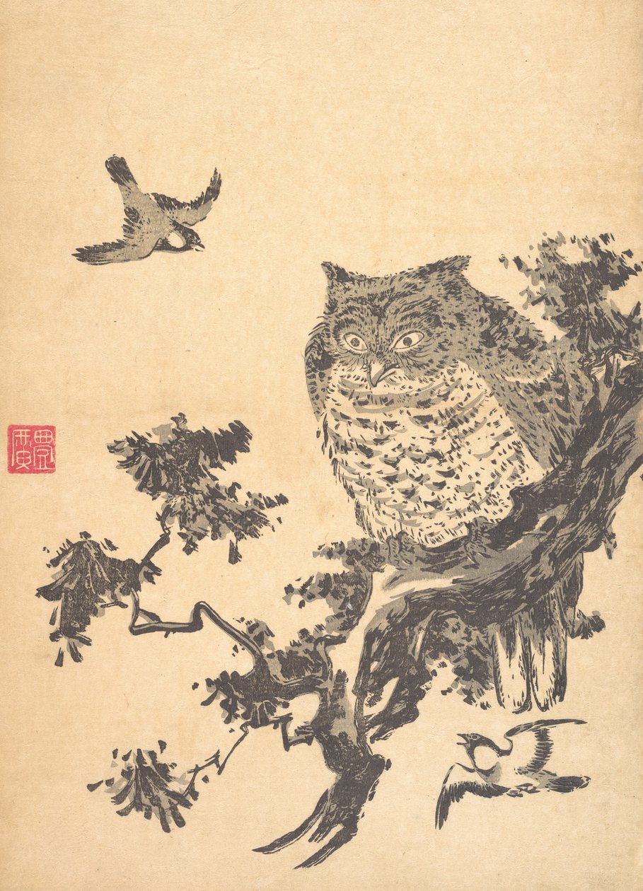Pöllö ja kaksi pääskystä. tekijältä Utagawa Toyohiro