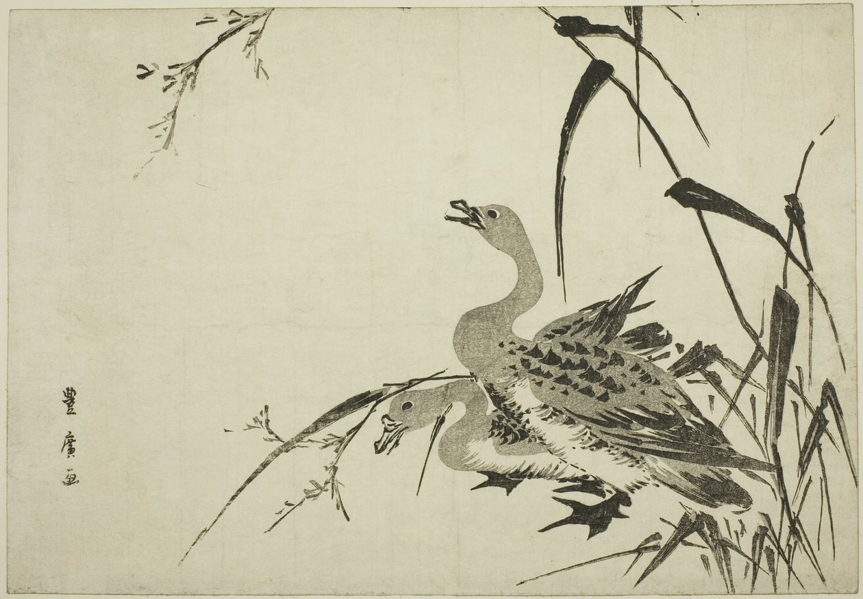 Villihanhet ja ruoko tekijältä Utagawa Toyohiro