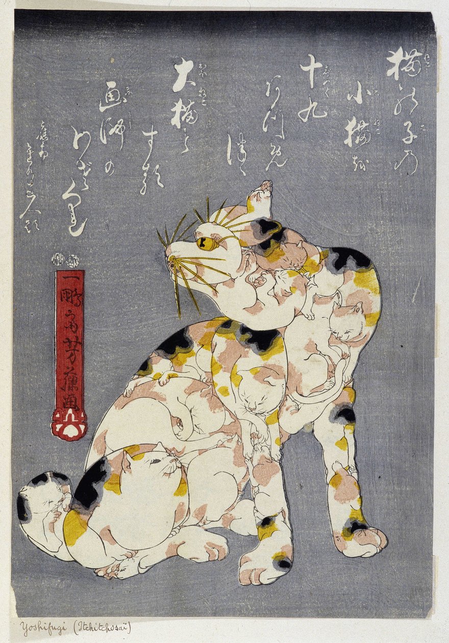 Tuntematon kuva tekijältä Utagawa Yoshifuji