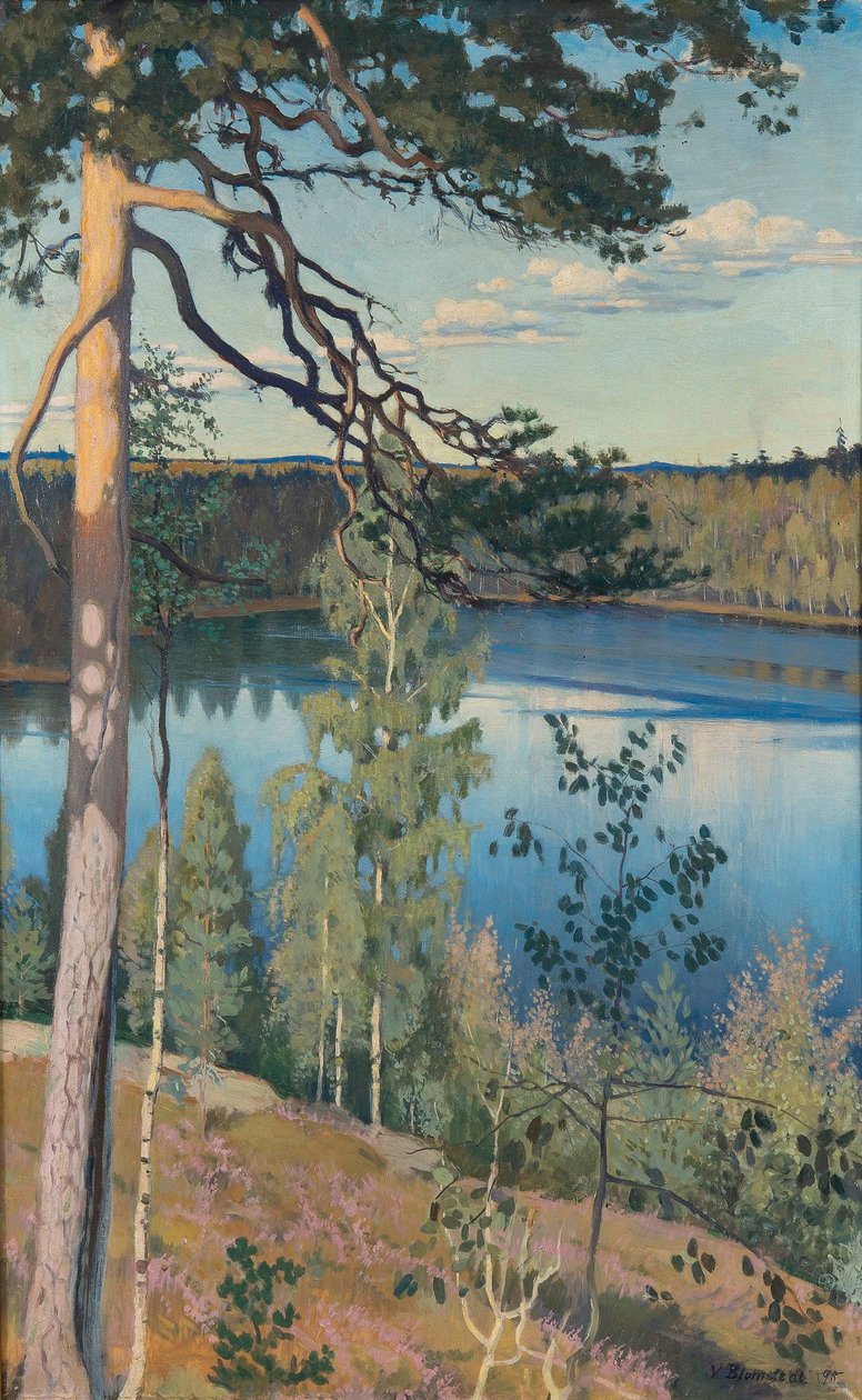 Järvi erämaassa, 1895 tekijältä Väinö Alfred Blomstedt
