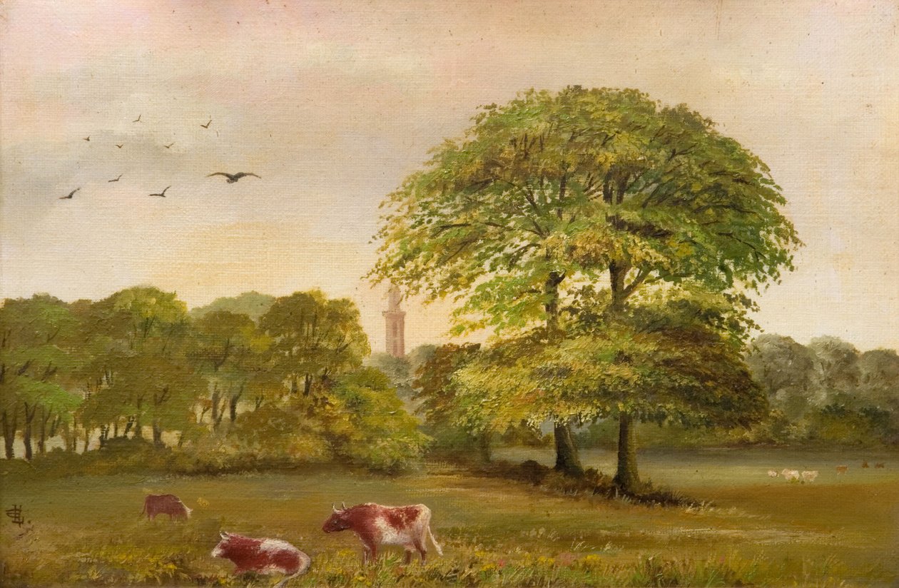 Tower Edgbastonin pumppuasema, 1894. tekijältä Vale