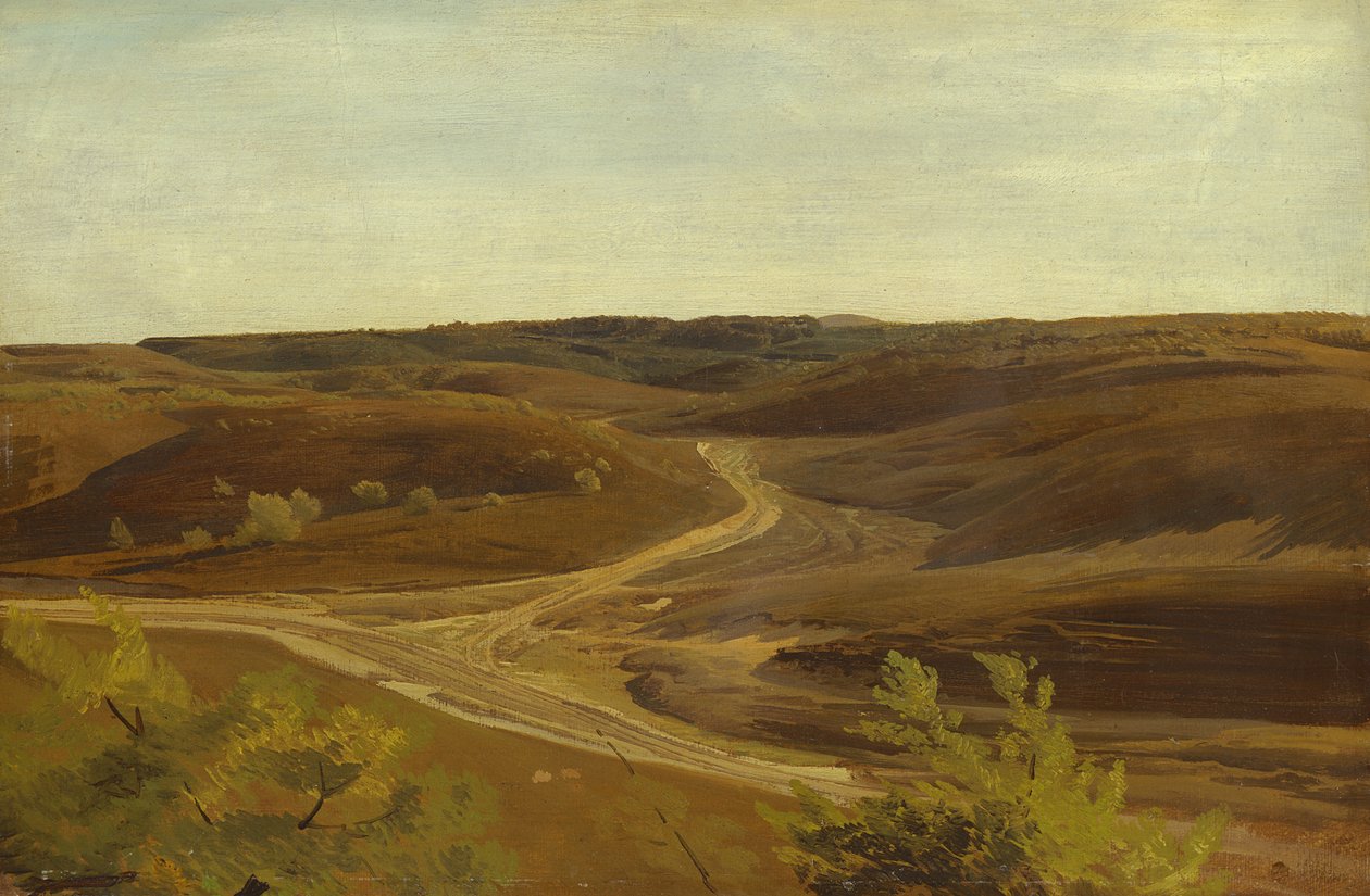Moorland lähellä Ehestorfia, 1868 (öljy paperille aluksella) tekijältä Valentin Ruths