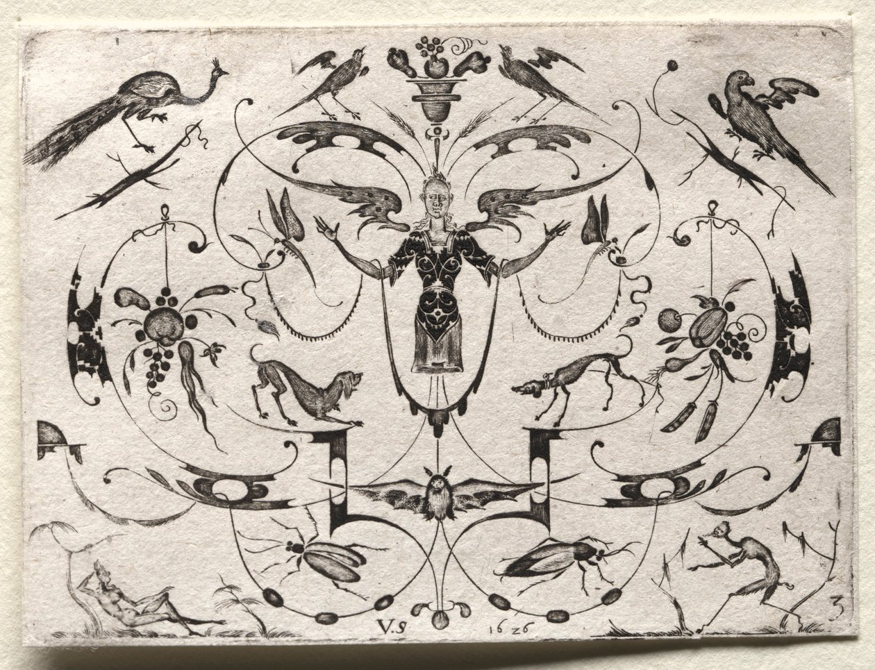 Arabesque riikinkukon, papukaijan, koirien ja hyönteisten kanssa, 1626. tekijältä Valentin Sezenius