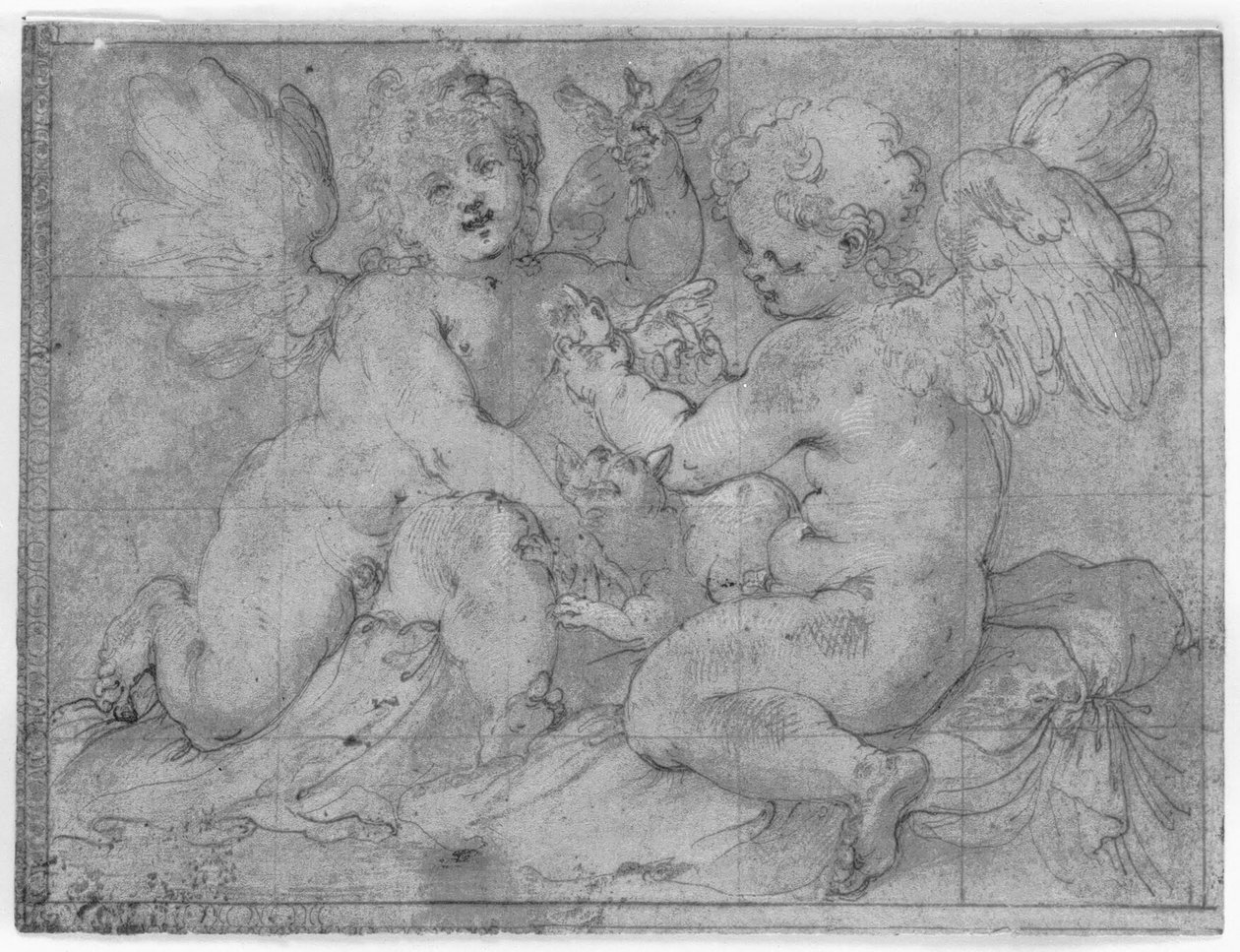 Dos putti jugant amb un gat i dos ocells finlandesos tekijältä Valerio Castello