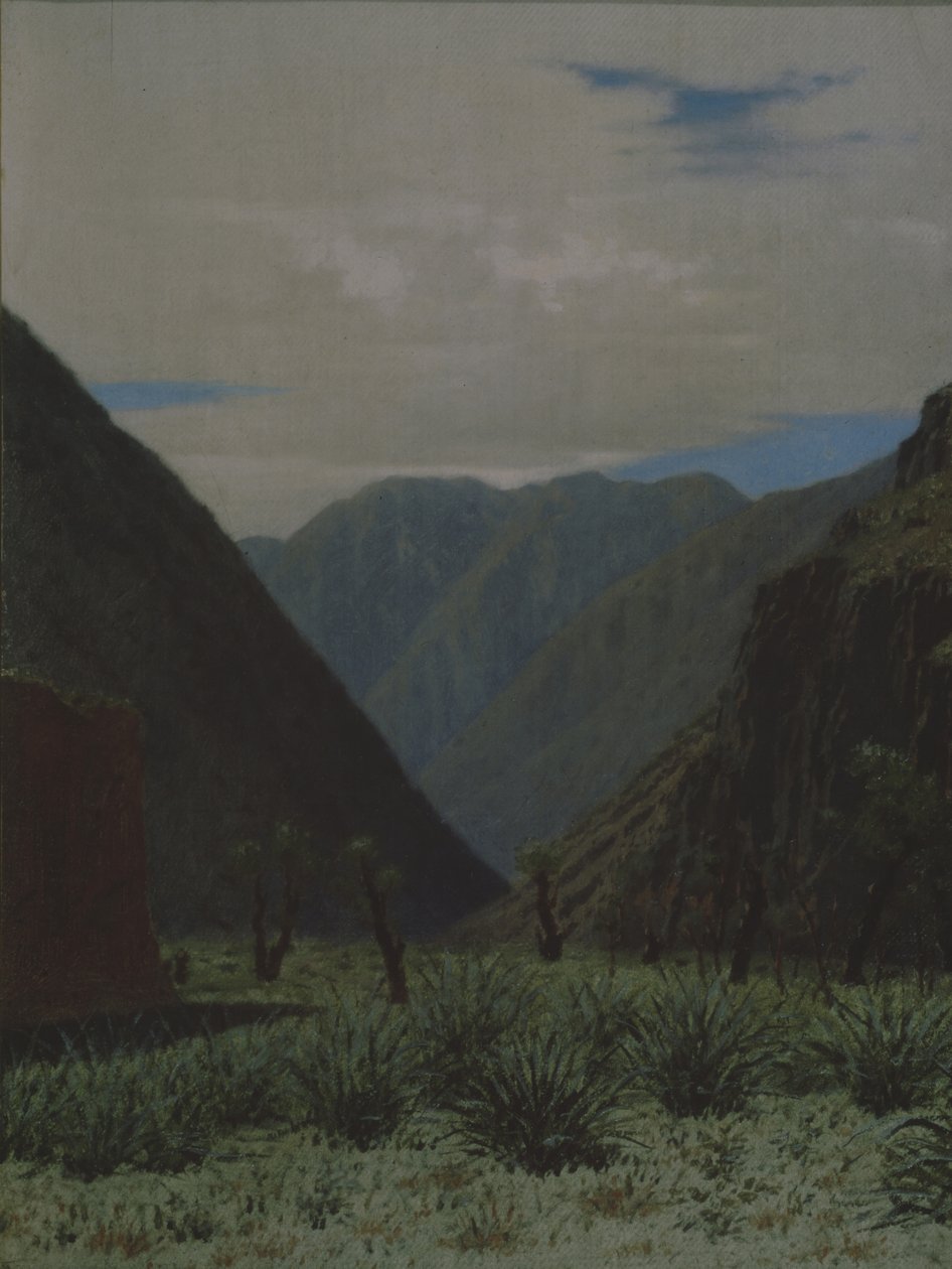 Barskaun vuoristosola tekijältä Vasili Vasilievich Vereshchagin