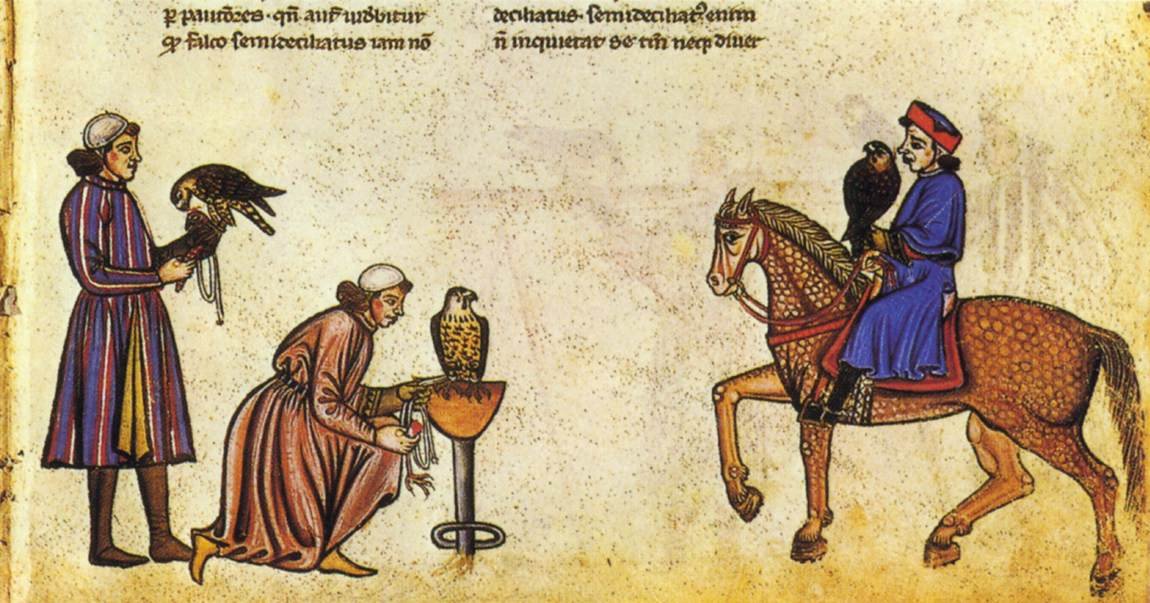 Friedrich II: n haukkomies tekijältä Vatican Library