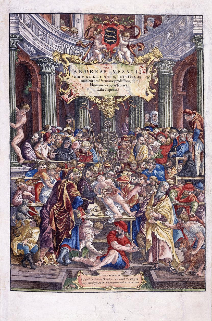 Flanderin anatomi ja lääkäri Andreas Vesalius pitämässä oppitunnin lääketieteen koulussa Brysselissä, 1543 tekijältä Venetian School