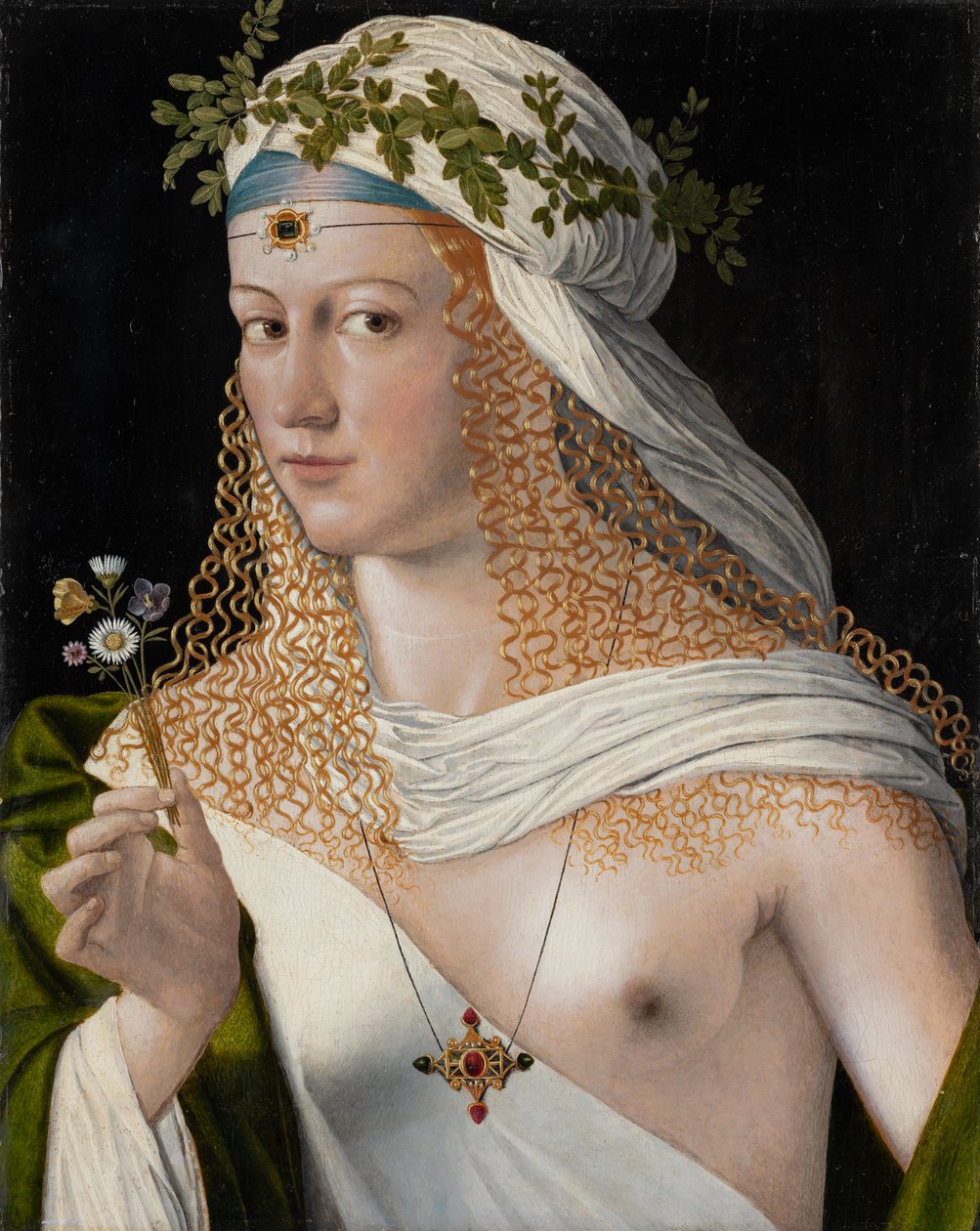 Nuoren naisen ihannoitu muotokuva Florana, noin 1520 (sekatekniikka poppelille). tekijältä Veneto Bartolomeo