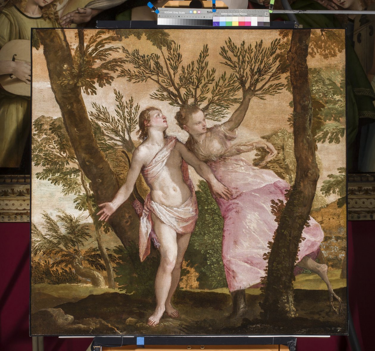 Apollo ja Daphne, n. 1560-1565 tekijältä Paolo Veronese
