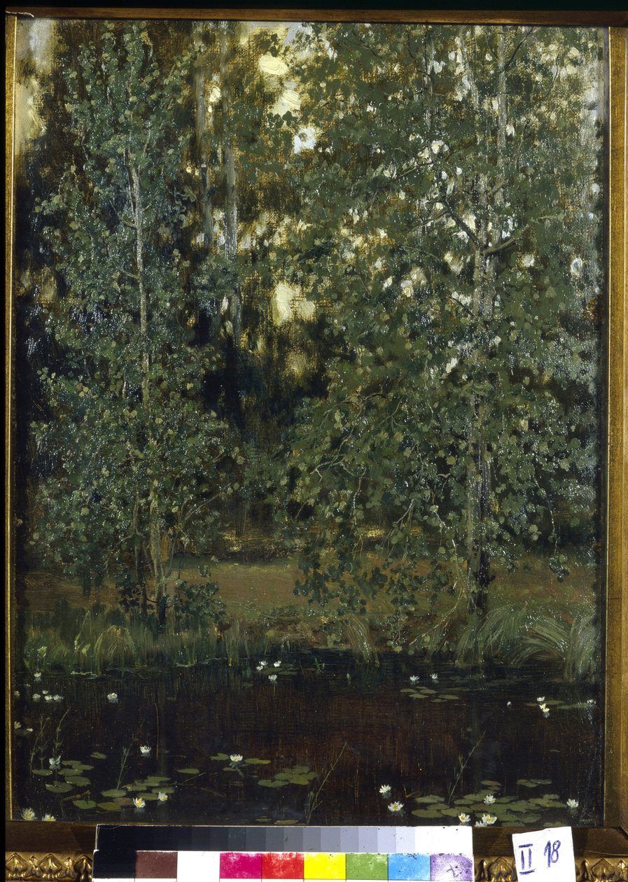 Lampi Akhtyrkassa (tai Okhtyrkassa, Ukrainassa). Maalaus Viktor Mikhaylovich Vasnetsov (1848-1926), öljy kankaalle tekijältä Victor Mikhailovich Vasnetsov