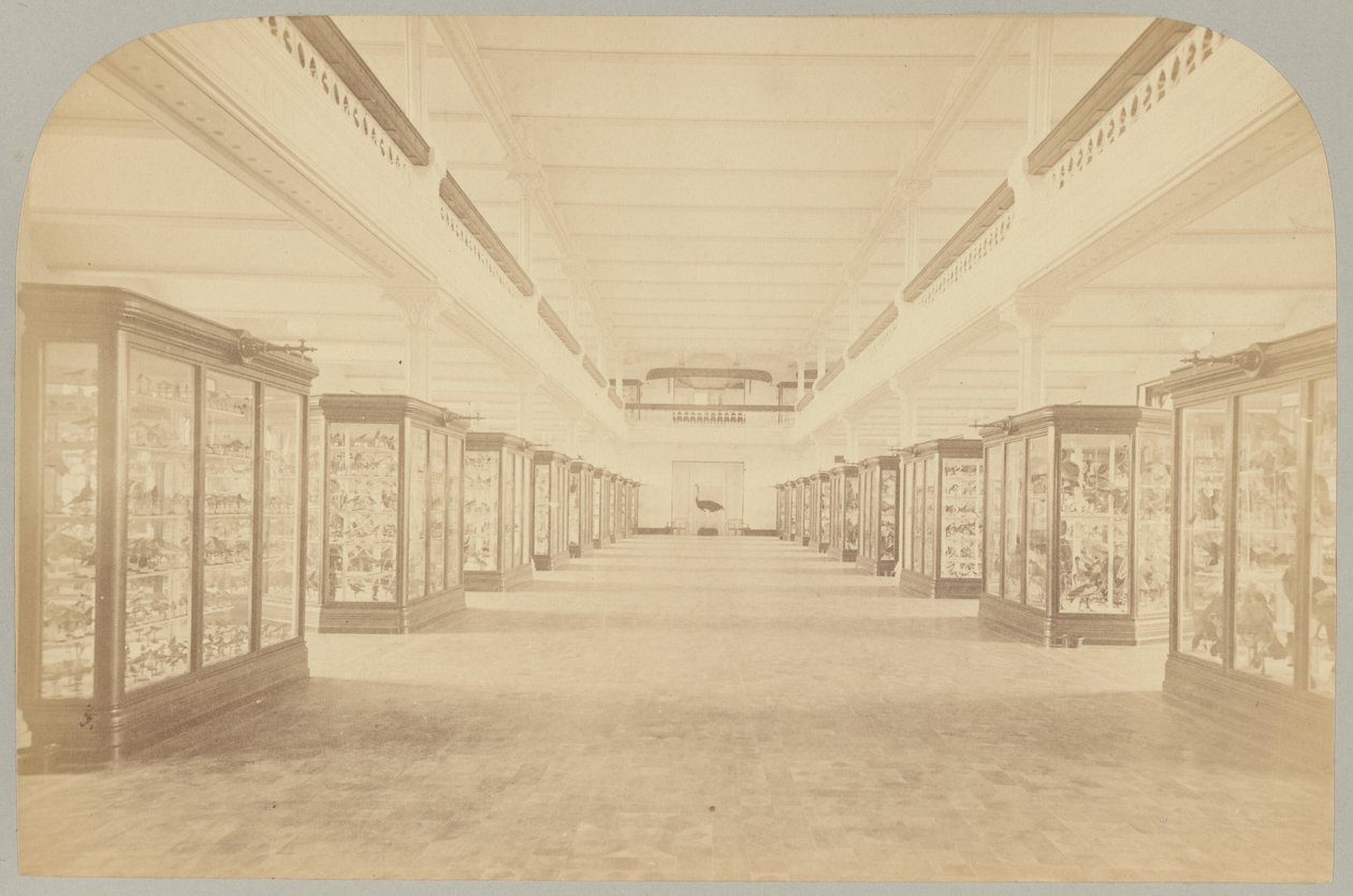 Pl. III. Päätarina: Linnut tekijältä Victor Prevost, Gaston L. Feuardent and Co., New York