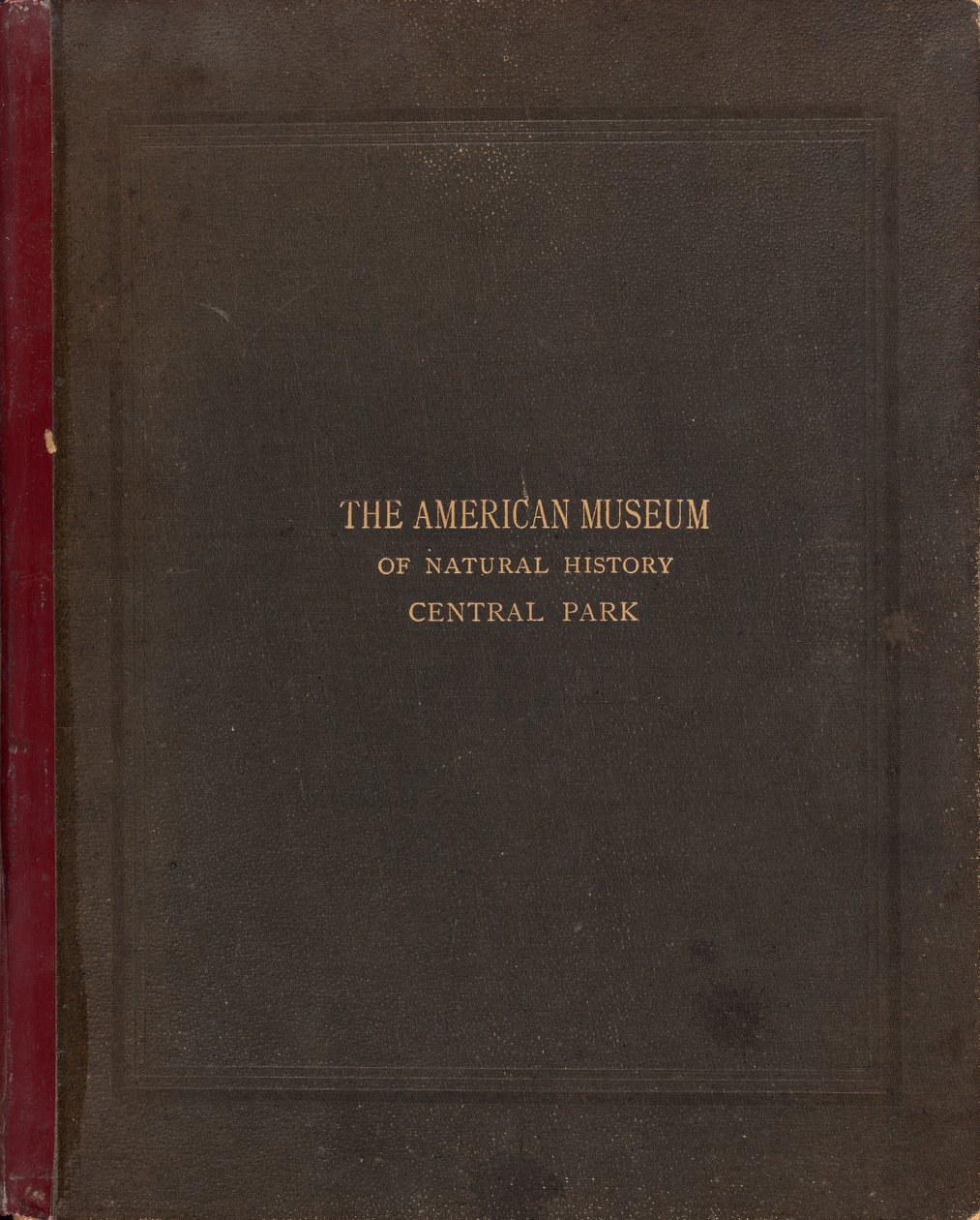 American Museum of Natural Historyn valokuva-albumi, Central Park, New York City tekijältä Victor Prevost, Gaston L. Feuardent and Co., New York