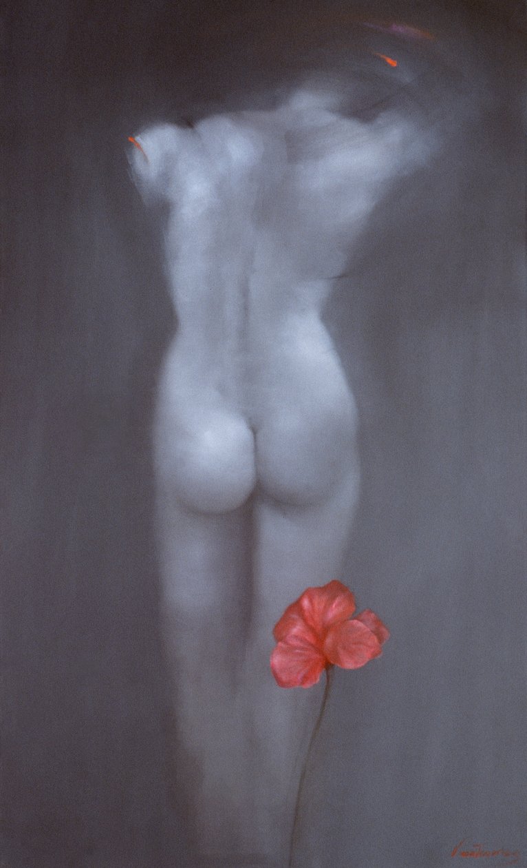 Amaryllis tekijältä Victoria Montesinos