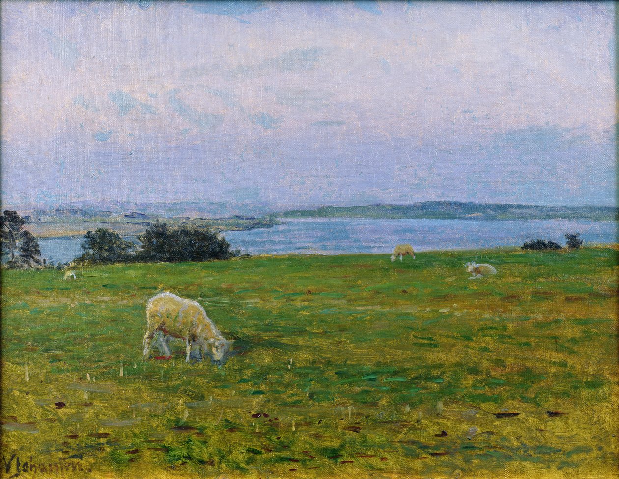 Lampaiden laiduntaminen, Osterby, Skagen tekijältä Viggo Johansen