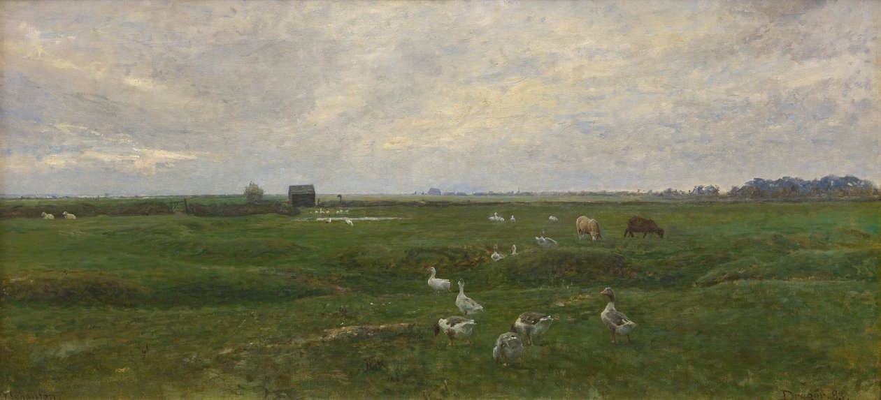 Hanhet järven rannalla. Myrsky on tulossa. Dragør, Amagerin saari tekijältä Viggo Johansen