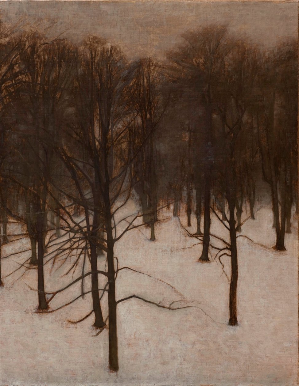 Sondermarken Park talvella tekijältä Vilhelm Hammershoi