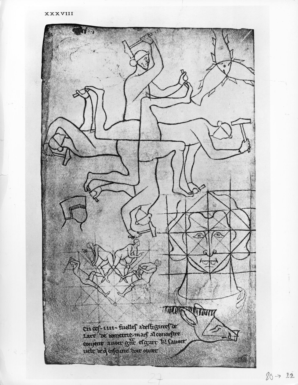 Faksikopio rouva Fr 19093 fol.19v Tutkimukset miehistä ja eläimistä tekijältä Villard de Honnecourt
