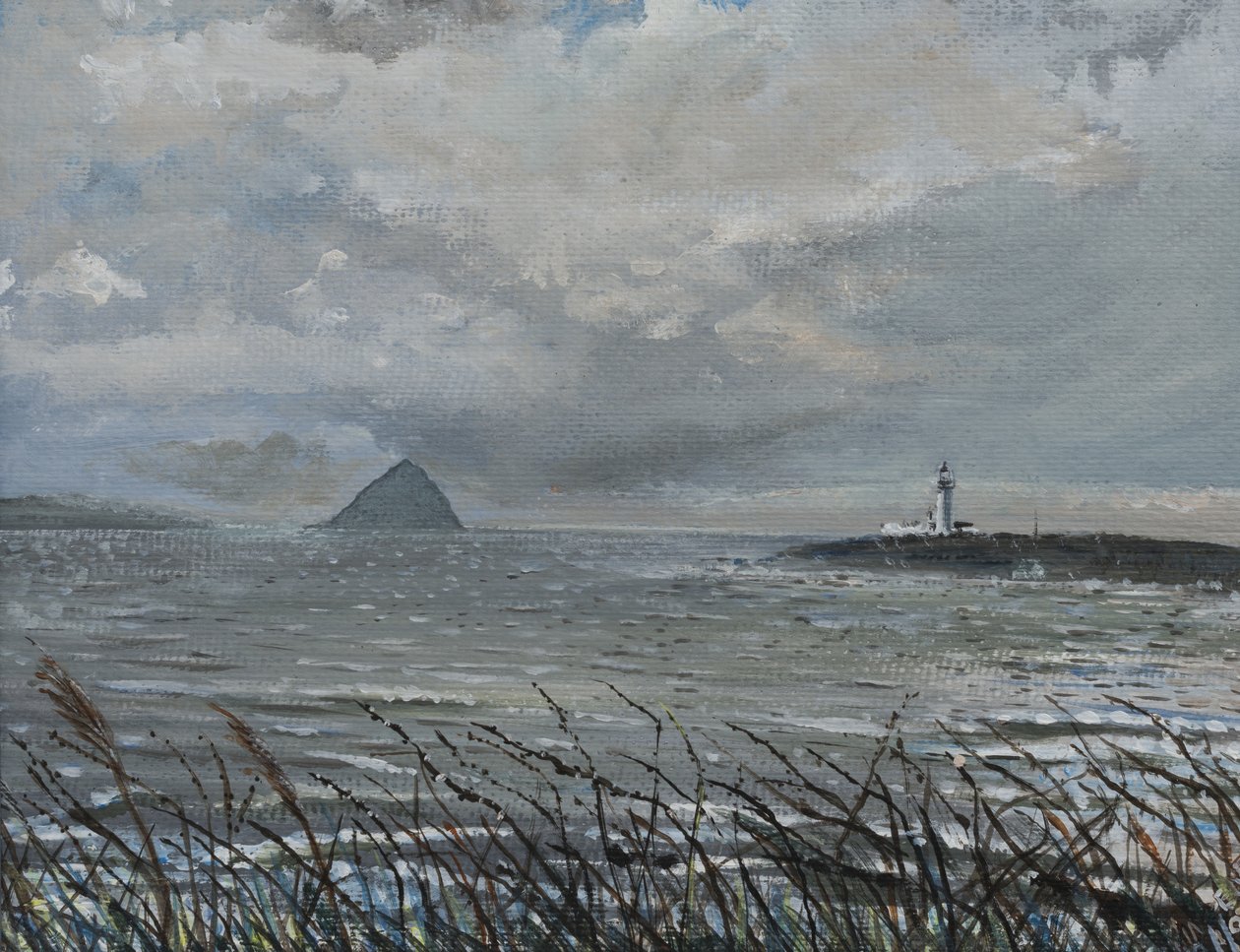 Ailsa Craig, Arran, 2007, (Akryyli kankaalle) tekijältä Vincent Alexander Booth