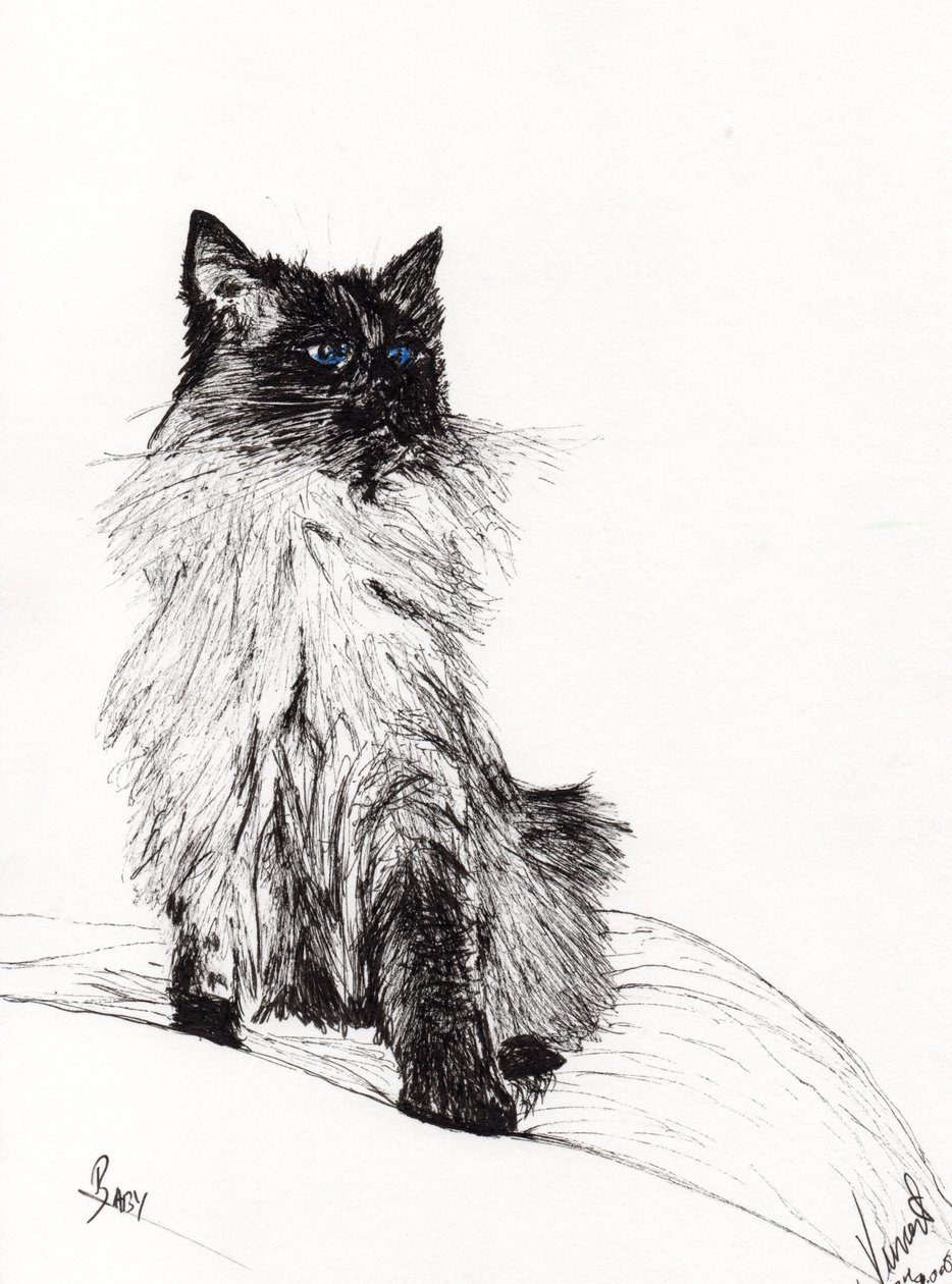 Vauva, 2008, (tussi paperille) tekijältä Vincent Alexander Booth