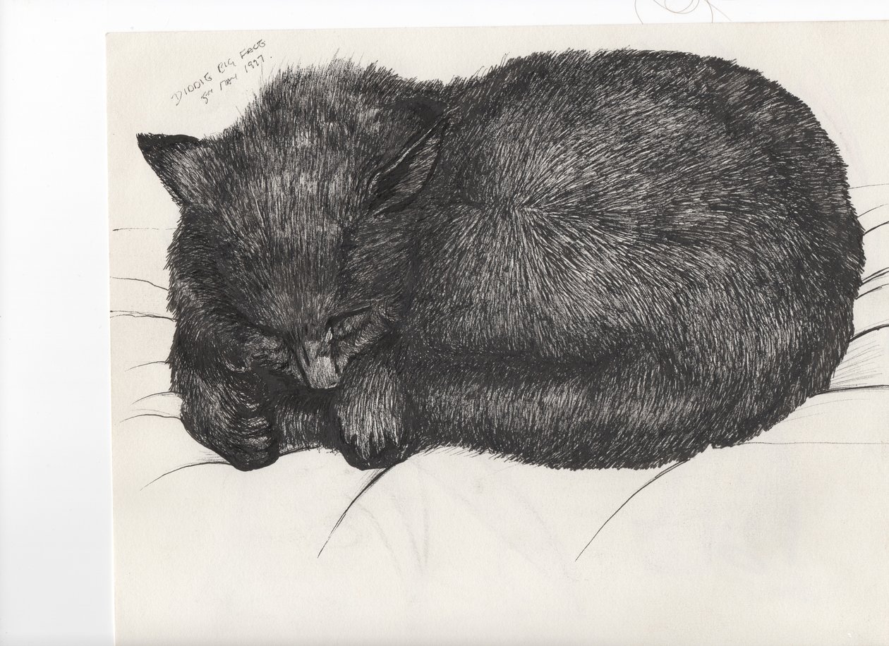 Diddy big face, 1997, (muste paperille) tekijältä Vincent Alexander Booth