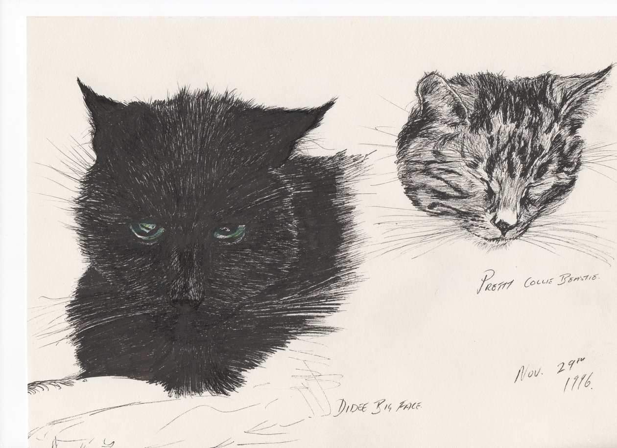 Diddybigface & colliebeastie, 1996, (muste paperille) tekijältä Vincent Alexander Booth