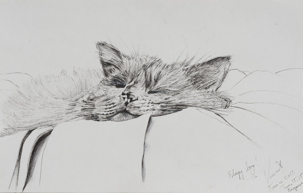 Monty sleepy boy, 2013, (muste paperille) tekijältä Vincent Alexander Booth