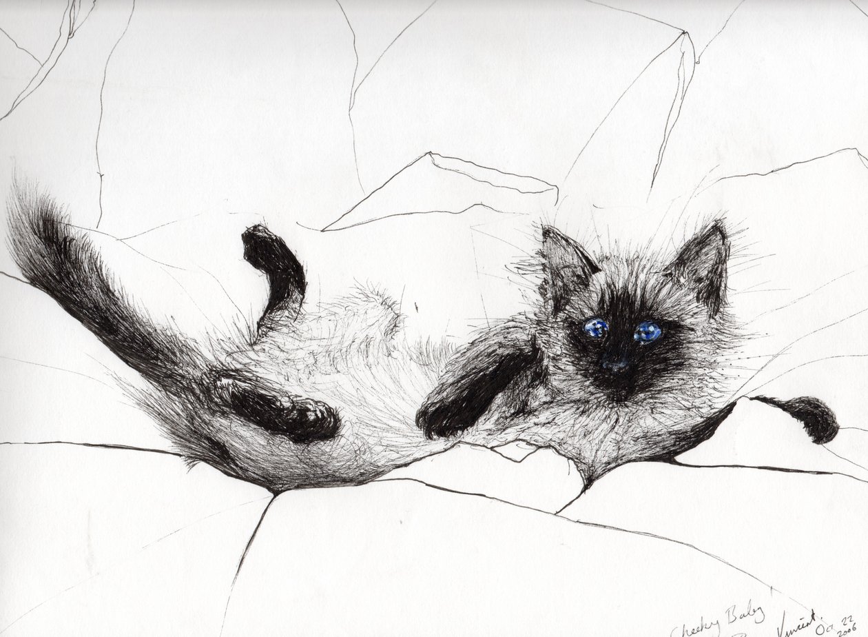 Leikkivauva, 2006, (muste paperille) tekijältä Vincent Alexander Booth