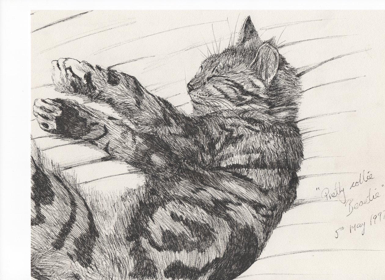 Pretty collie beastie, 1997, (muste paperille) tekijältä Vincent Alexander Booth