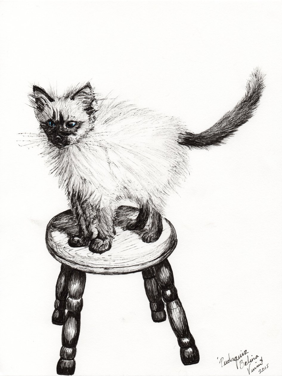 Pudsquiz Belina, 2015, (muste paperille) tekijältä Vincent Alexander Booth