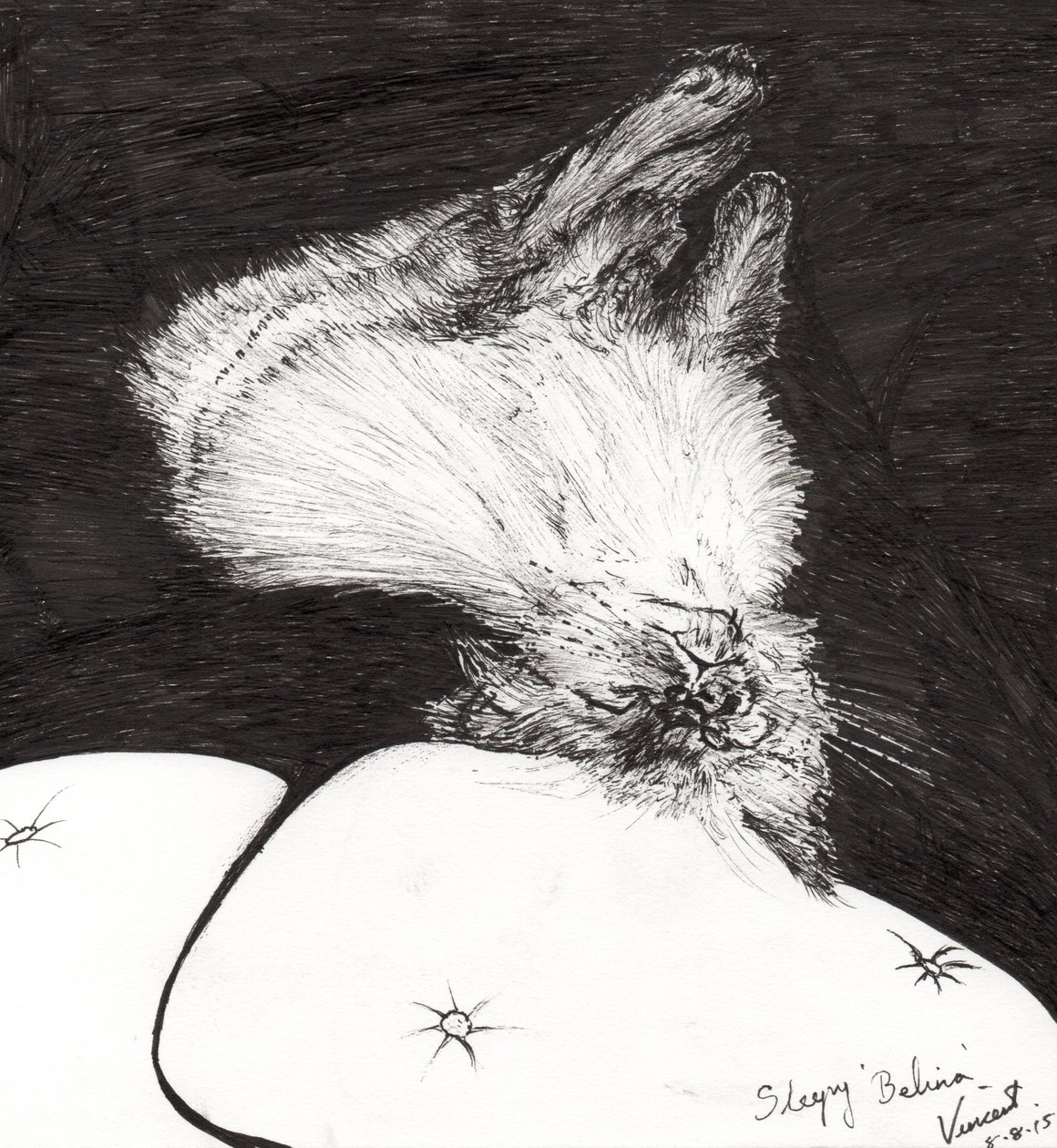 Sleepy Belina, 2015, (tussi paperille) tekijältä Vincent Alexander Booth