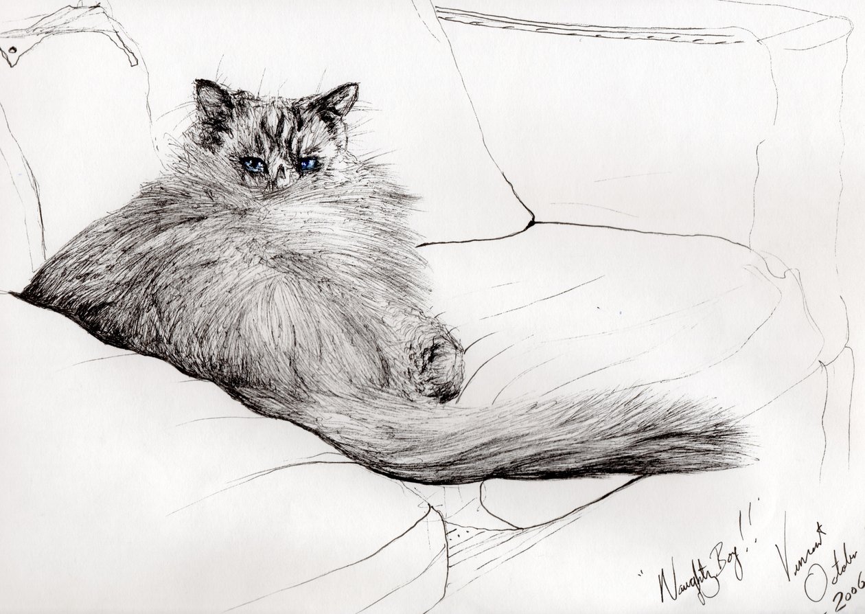 Naughty boy!, 2006, (mustetta paperille) tekijältä Vincent Alexander Booth