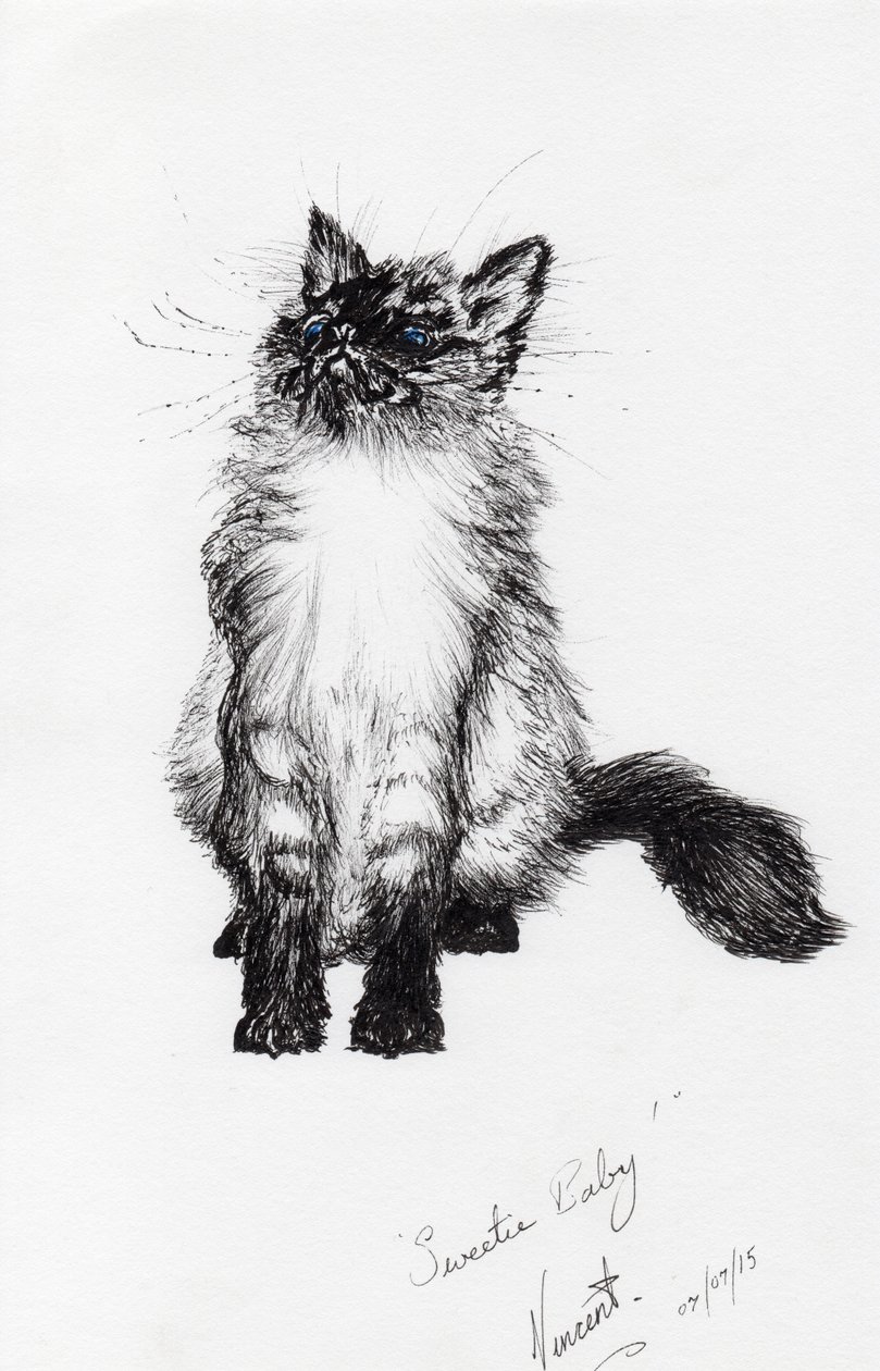 sweetie baby, 2015, (muste paperille) tekijältä Vincent Alexander Booth