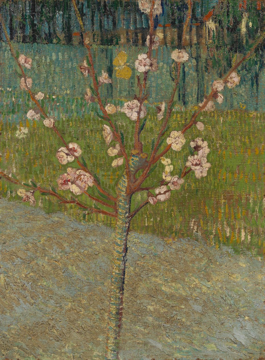 Mantelipuu kukassa tekijältä Vincent van Gogh