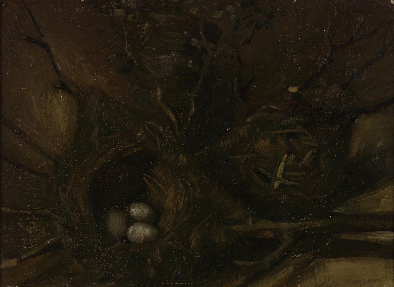 Linnunpesät tekijältä Vincent van Gogh